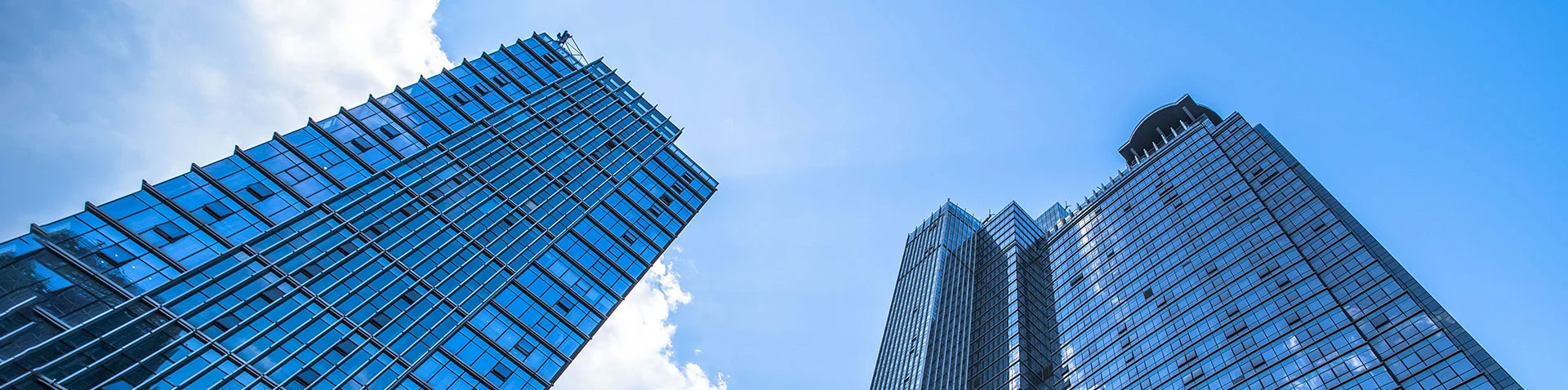 À propos de l'entreprise