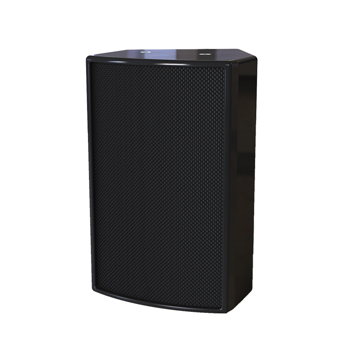 Haut-parleur actif de 6 pouces Dante Poe